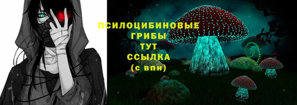 PSILOCYBIN Алексин